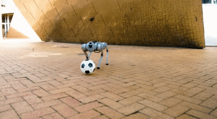 DribbleBot in action